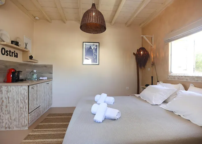 Maistrali Studio Ostria